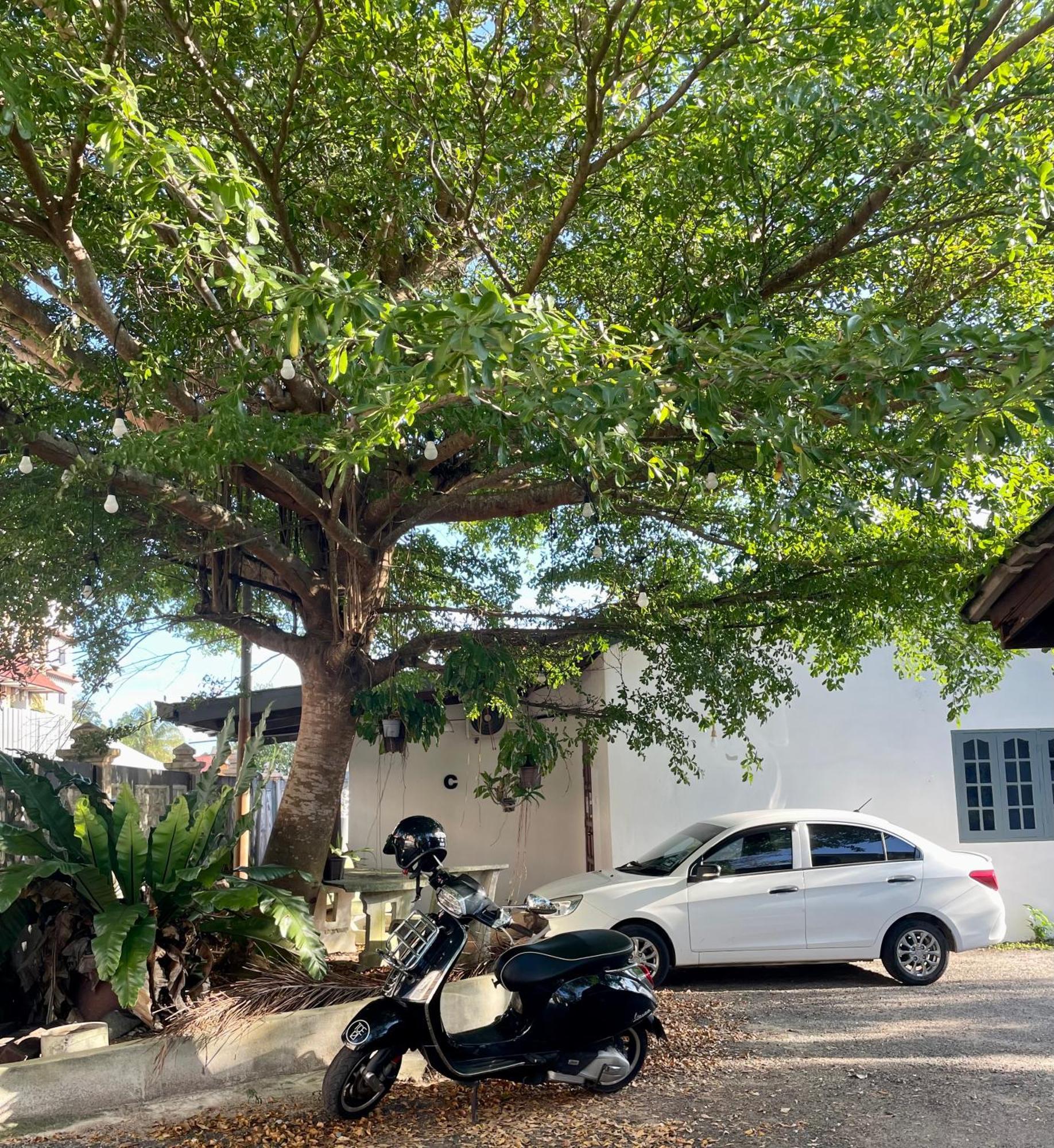 Hj Hassan Guest House- Studio Unit Kuala Terengganu Dış mekan fotoğraf
